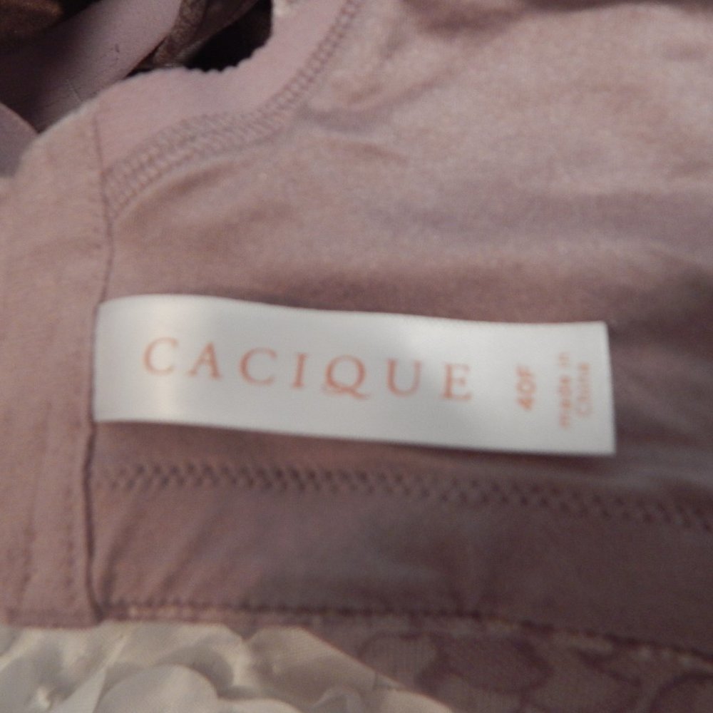 Cacique lightly Lined Full Coverage No Wire Bra 40F Plus - Picture 5 of 5